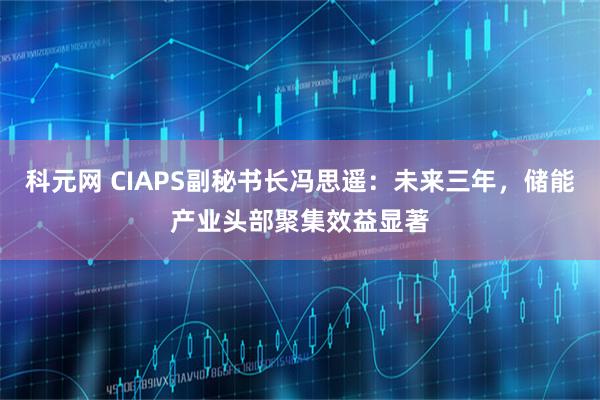 科元网 CIAPS副秘书长冯思遥：未来三年，储能产业头部聚集效益显著