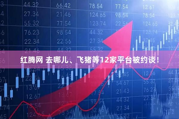 红腾网 去哪儿、飞猪等12家平台被约谈！